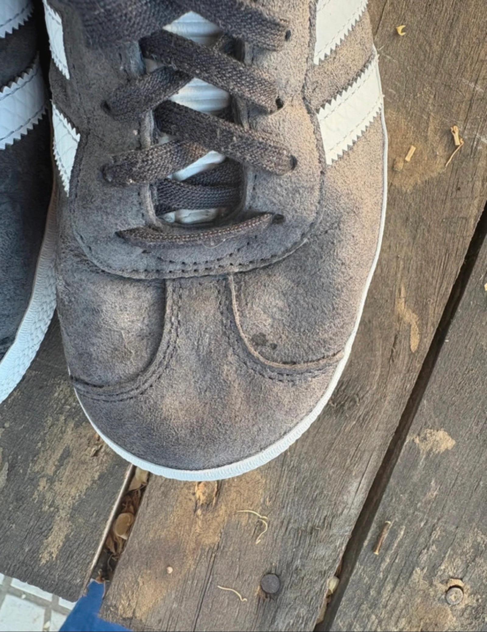 Ténis Gazelle- Adidas  – photo 5